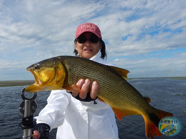 PIRA LODGE - Pantanal Argentino - Temporada 2.016